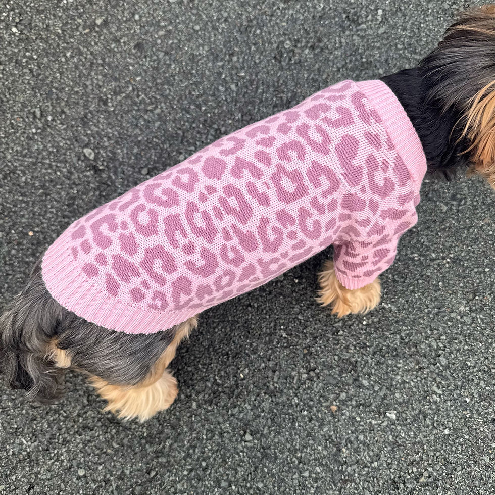 Miniaturbild: Pullover Leo rosa