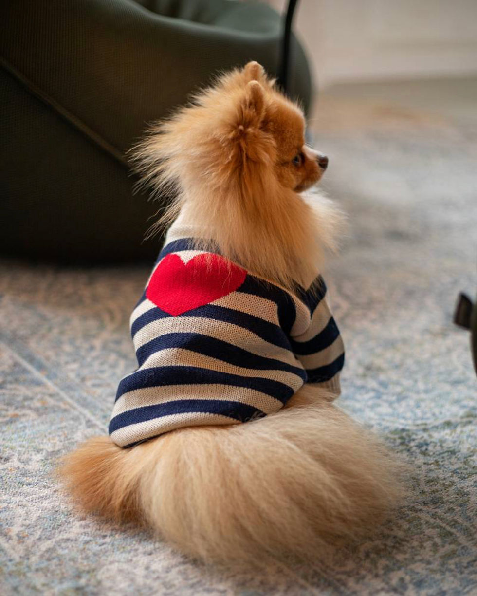 Miniaturbild: Pullover "My cute DOG"