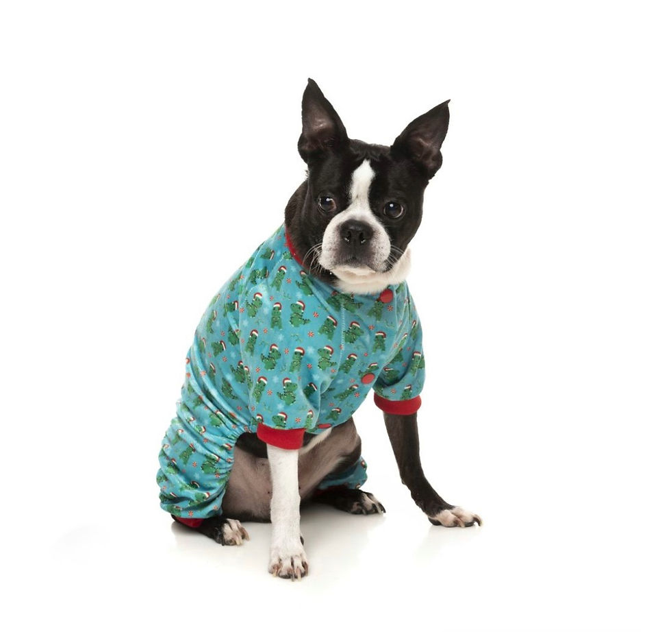 Miniaturbild: Fuzzyard Xmas Pyjama – Tree Rex