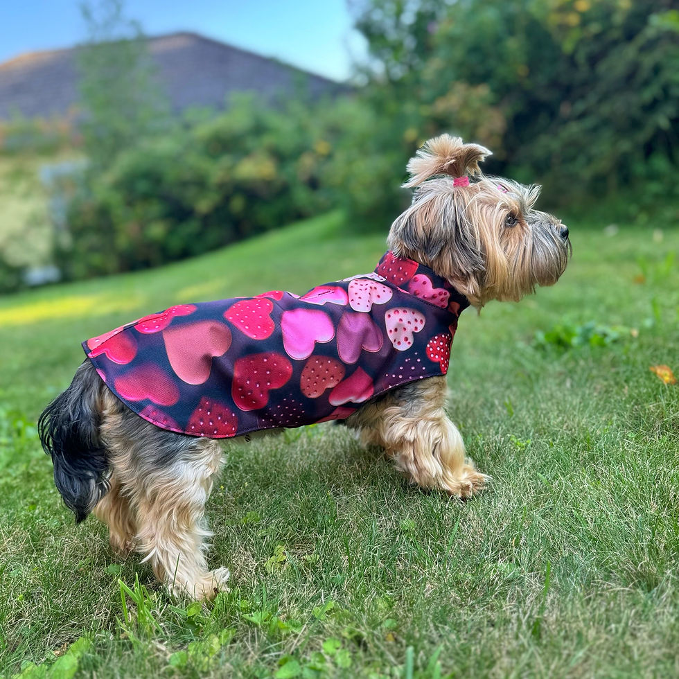 Miniaturbild: Regenjacke „Schokolade“