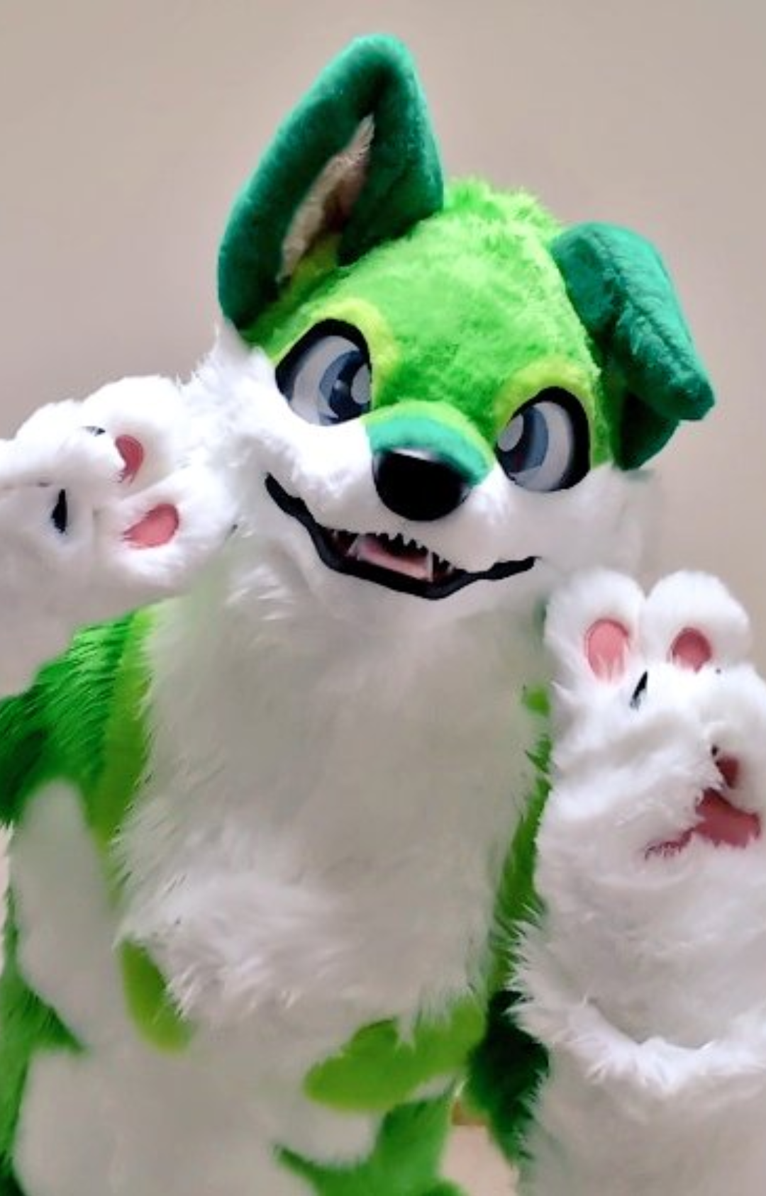 ブラッシュ | LittleBigDreamers