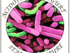 Lactobacillus acidophilus