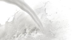 Have you ever thought how yogurt is made or what happen when you add your starter to the milk?