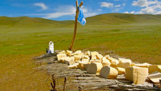 Fermented Milk Products from All Over the World. Khuruud (Mongolia)