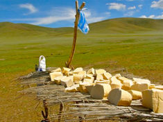 Fermented Milk Products from All Over the World. Khuruud (Mongolia)