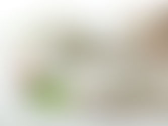 How to make traditional Sour cream and Easy sour cream.