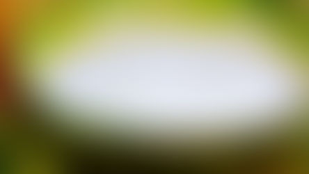 Fermented Milk Products from All Over the World. Qatyq