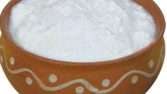Fermented Milk Products from All Over the World. Dahi (India)