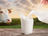Milk Quality: The Hidden Foundation of Yogurt & Kefir Fermentation