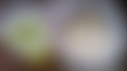 Fermented Milk Products from All Over the World. Quark