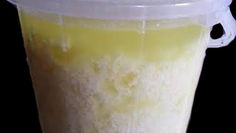 Fermented Milk Products From All Over the World • Amabere amaruranu (Kenya)
