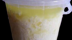 Fermented Milk Products From All Over the World • Amabere amaruranu (Kenya)