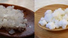 Kefir ''grains'' or freeze-dried kefir starter?