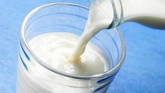 Fermented Milk Products from All Over the World. Chalap and Kumis