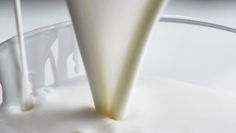 Fermented Milk Products from All Over the World. Piimä (Finland)