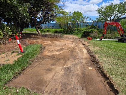 Driveway remediation