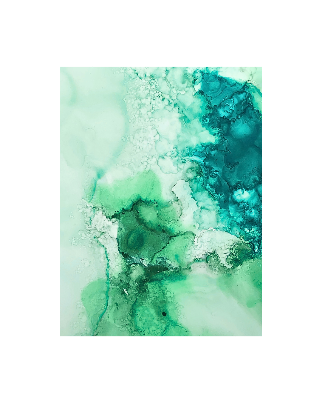 The Earth Collection