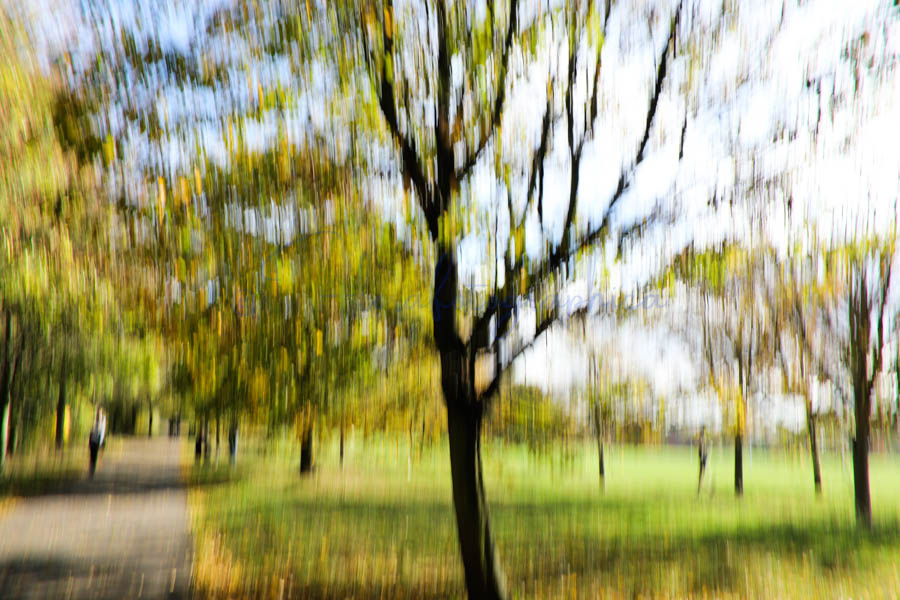Panning