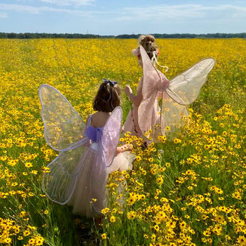 Fancy Dress Costumes