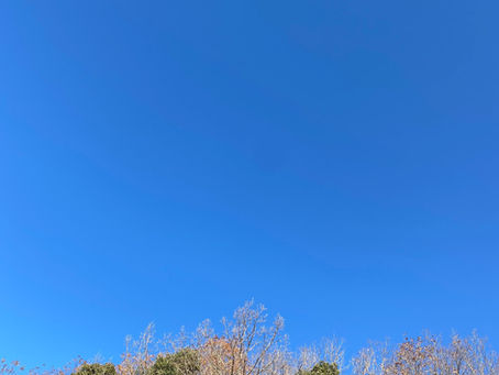 明けましておめでとうございます。