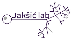 logo_neuroevo_outline.png