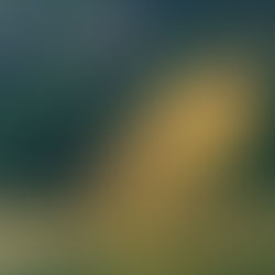 İspir'de Heyelan Kaygısı: 70 Konut Boşaltıldı.