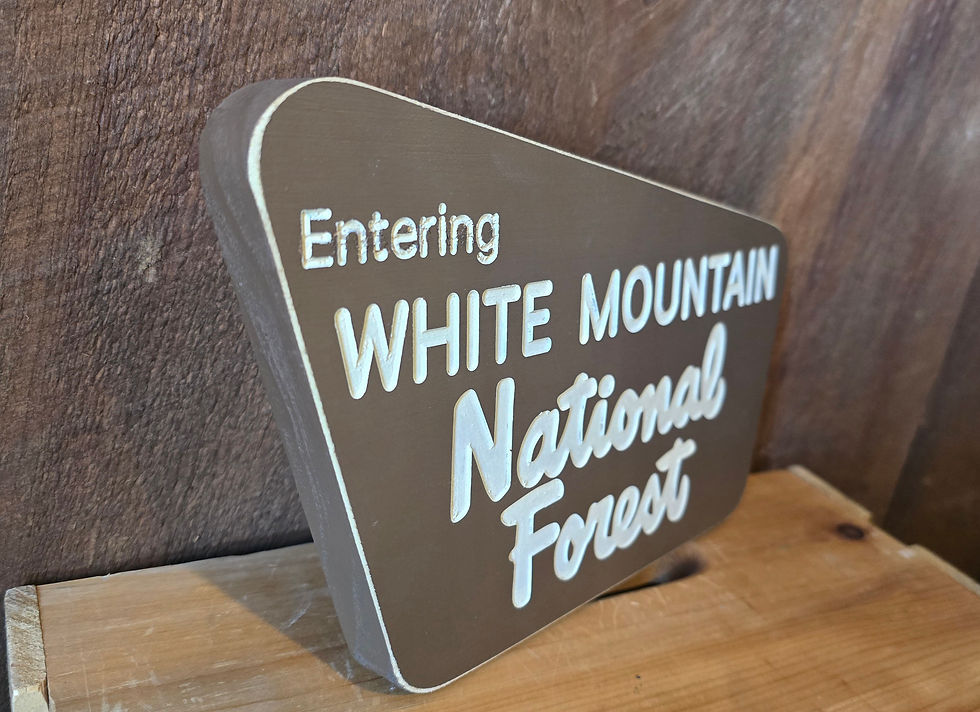 Thumbnail: Entering White Mountain National Forest Sign (small)
