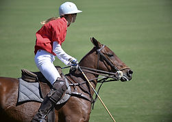 Jockey