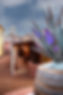 thumbnail-3.jpeg