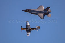 IMG_7943 fav.jpg
