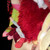 Stuffie Centipede Scarf
