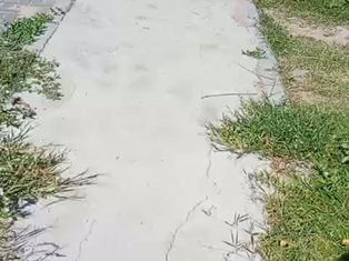 Corredor da Barra Grande segue esquecida pela gestão