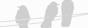 3 crows_edited.png