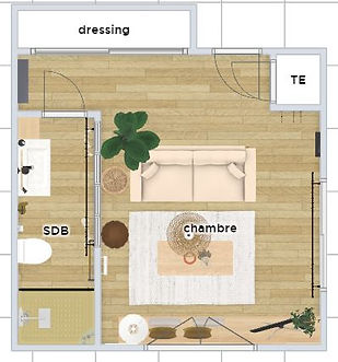 plan 2D