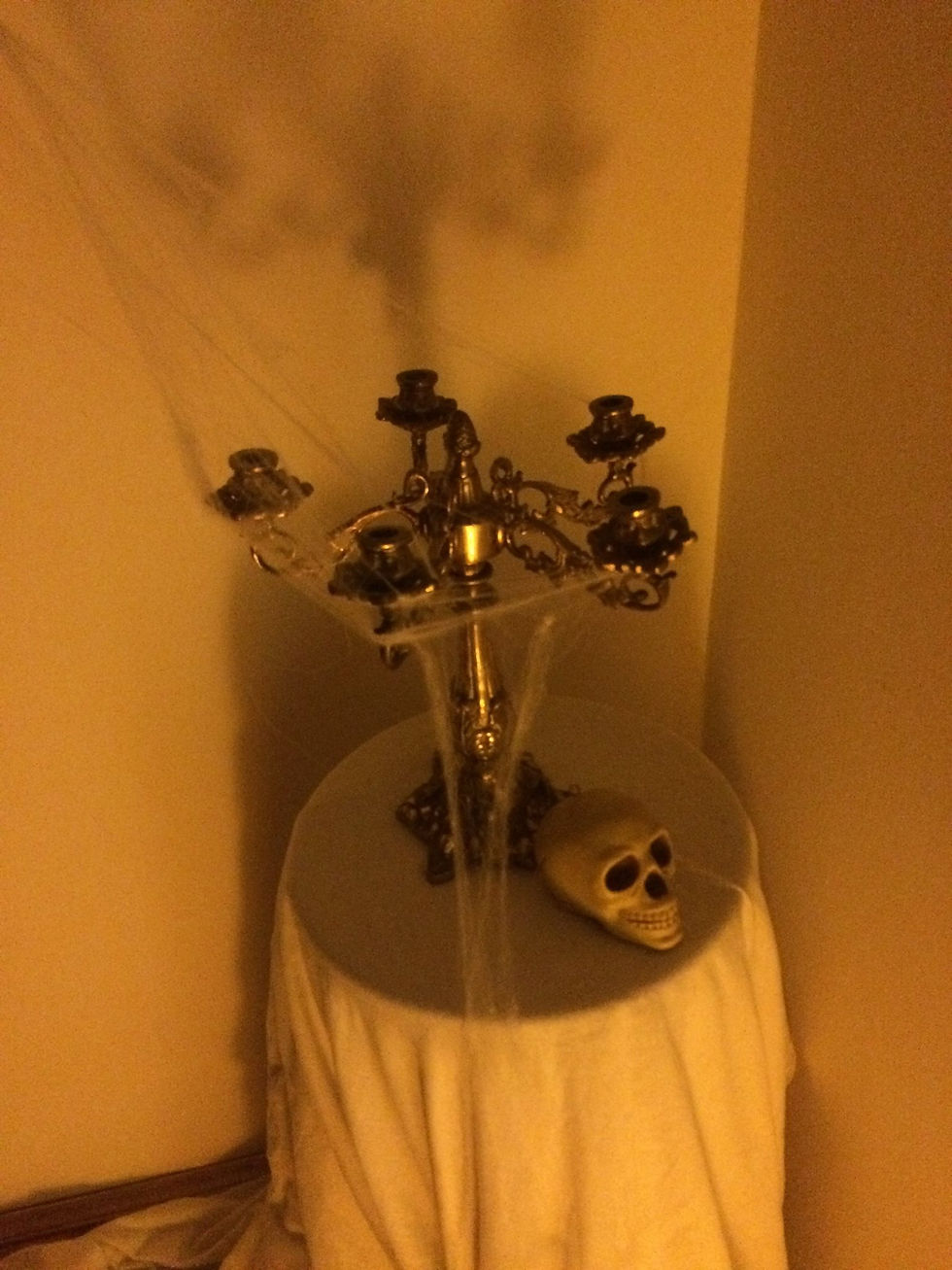 12184118_980998455256533_1953204796629352893_o