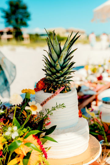 Anna-Maria-Island-Beach-Elopement_15.jpg