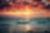 Sunset-Anna-Maria-Island_1.jpg