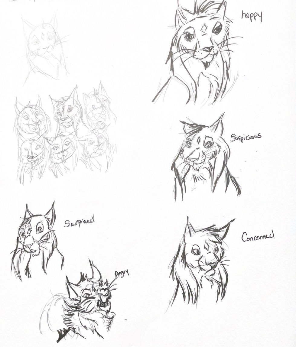 Cat expressions