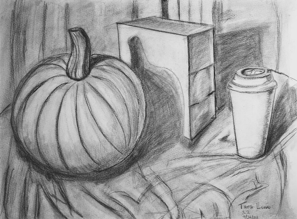 stilllifecorrection