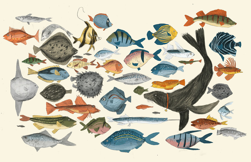 fish .jpg