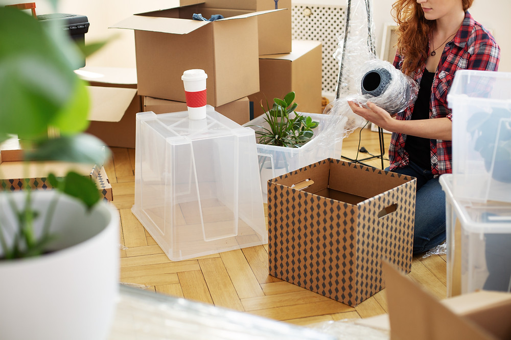 Professional Packing Services