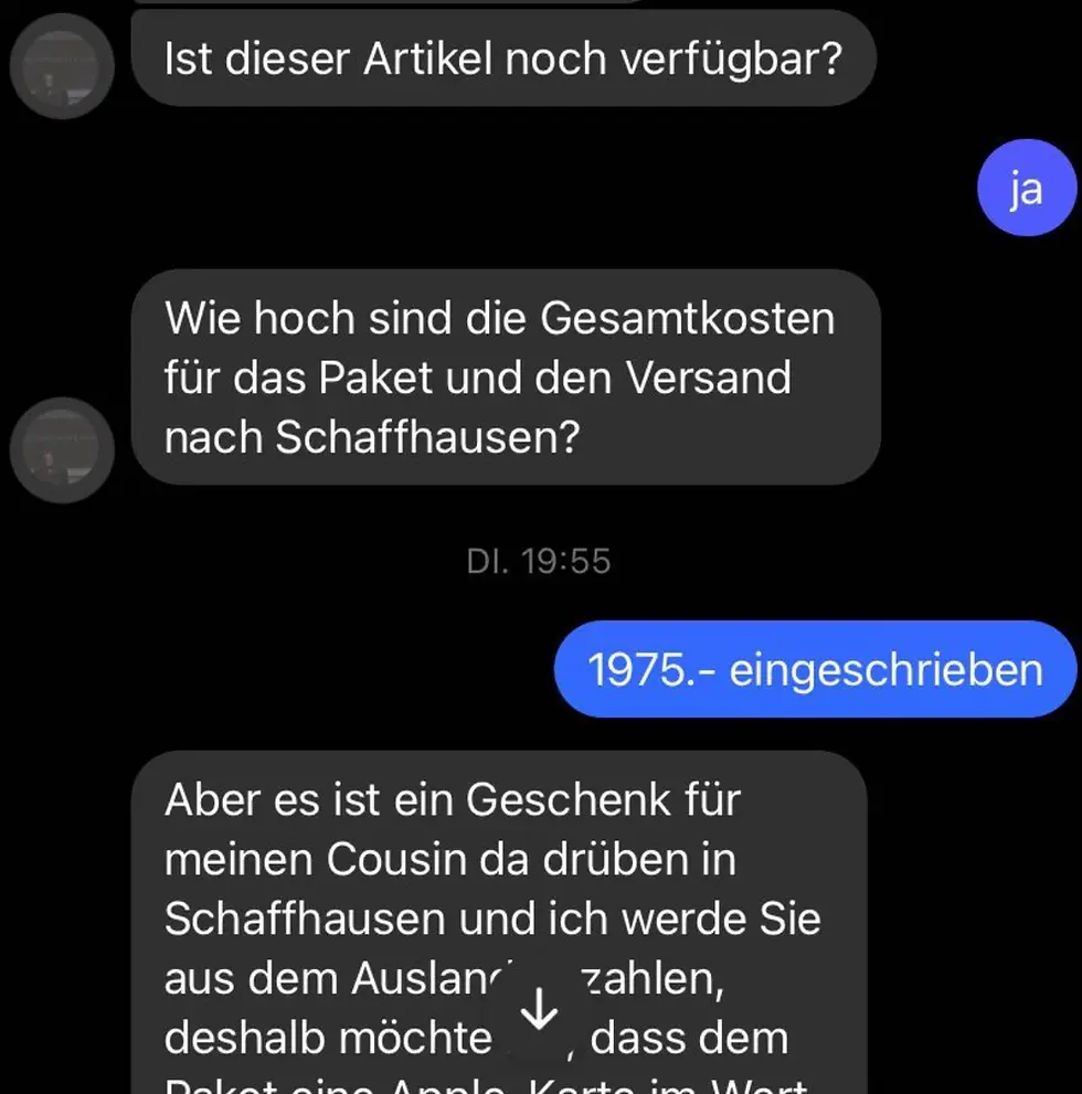 Excerpt from the chat with the cybercriminal