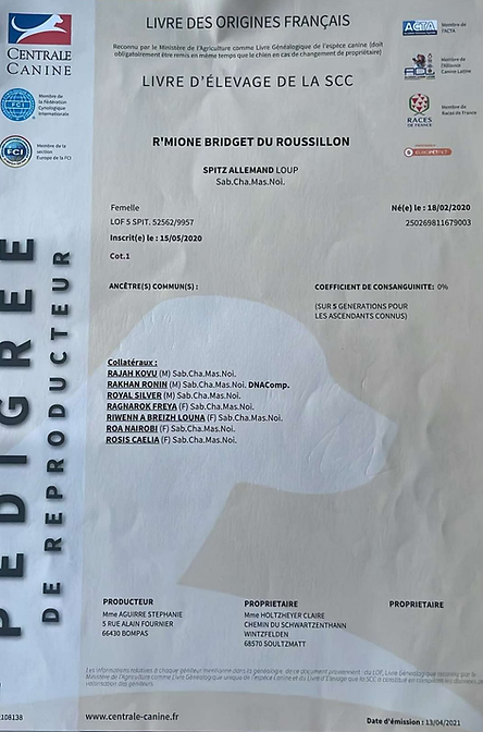 Rmione reproductrice