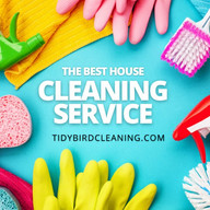 TidyBirdCleaning - Instagram post teal