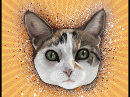 Exploring the World of Digital Illustration: A Digital Artist's Journey with Cats and Colorful Creations