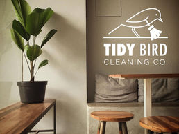 Rising Above the Competition: How CBird CREATIVE is Elevating the Tidybirdcleaning.com Brand in Burlington, Ontario