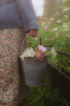 Blommor i en hink. Malvas blommor i Undersåker fotade av Louise Forslycke Garbergs