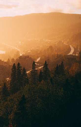are_autumn_©LouiseForslyckeGarbergs_highres-2-23.jpg