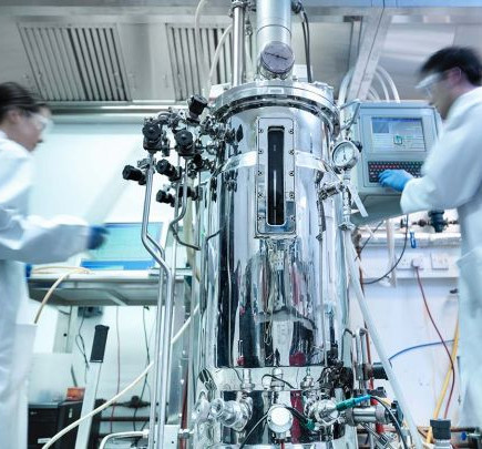 bioprocessing 2.jpg