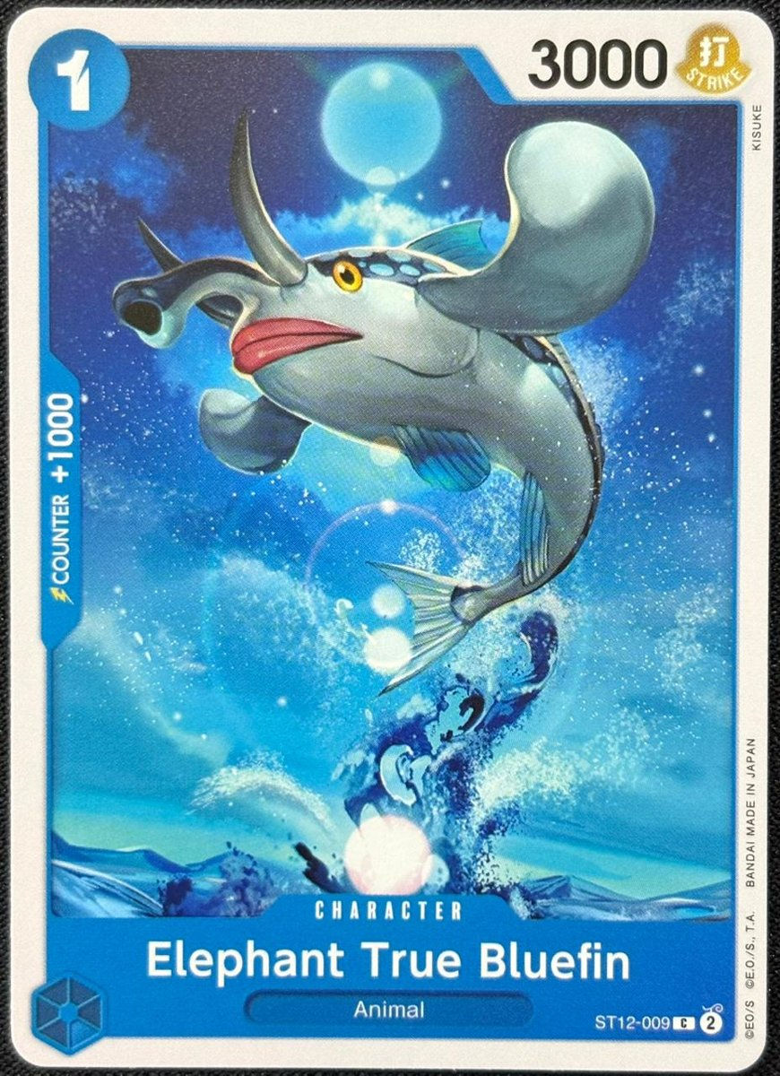 Elephant Tuna Bluefin ST12-009 (C)
